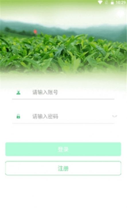 茶数APP新闻客户端下载