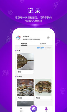 问鱼app最新版下载