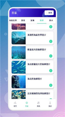 海来了app正式版下载