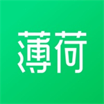 薄荷健康app 