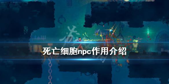 《死亡细胞》npc大全 npc作用介绍