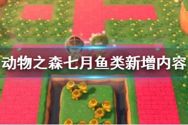 《集合啦动物森友会》七月鱼类有哪些？七月鱼类新增内容一览