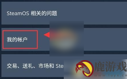 手机steam如何查看api