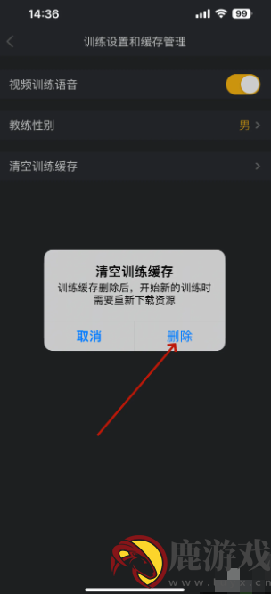 动动app如何清理内存