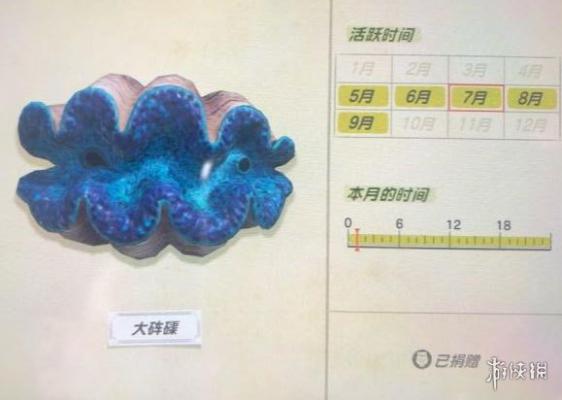 《集合啦动物森友会》海洋生物有哪些？海洋生物价格图鉴