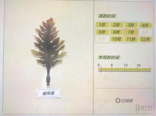 《集合啦动物森友会》海洋生物有哪些？海洋生物价格图鉴