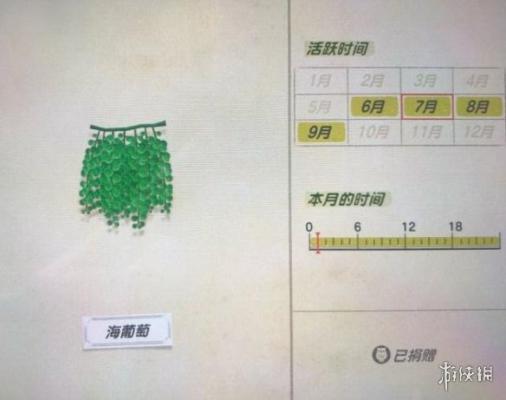 《集合啦动物森友会》海洋生物有哪些？海洋生物价格图鉴