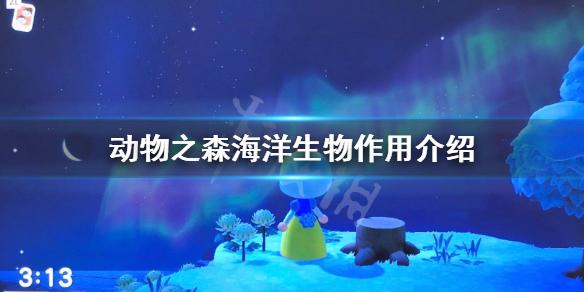 《集合啦动物森友会》海洋生物有什么用 海洋生物作用介绍