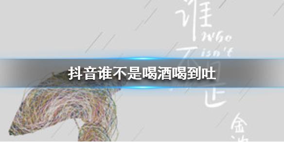 抖音谁不是喝酒喝到吐爱人爱到哭是什么歌 抖音谁不是歌词大全