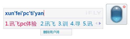 讯飞输入法电脑版 3.0.1727软件截图（6）