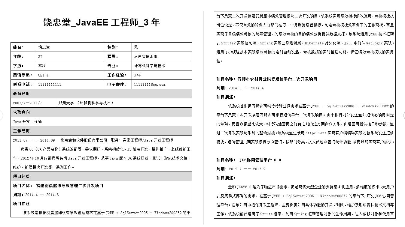 30份程序员个人简历模板精选打包软件截图（1）